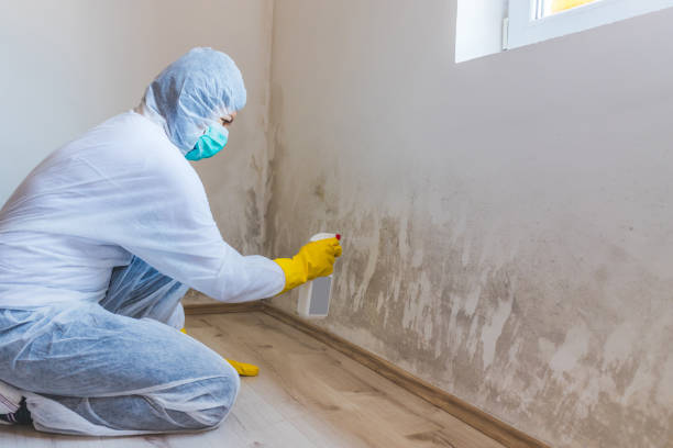 Hvac And Air Duct Mold Remediation inspection of HVAC system in Woodbine